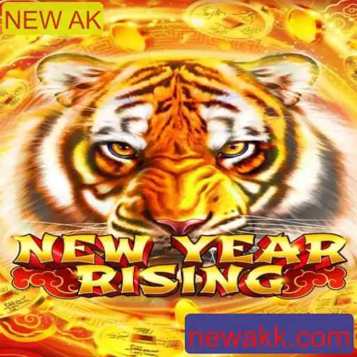 Descubra o mundo de NewYearRising